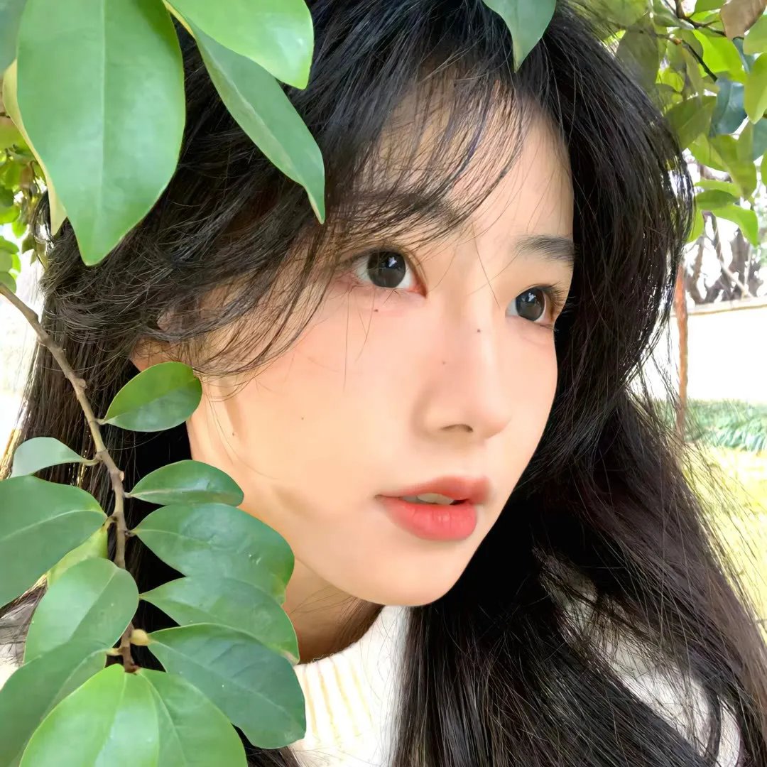 小莫莉大冒险